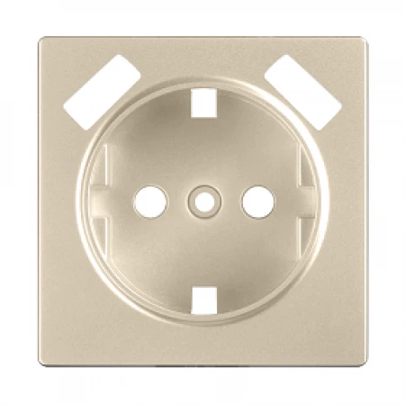 Накладка для USB розетки (шампань)