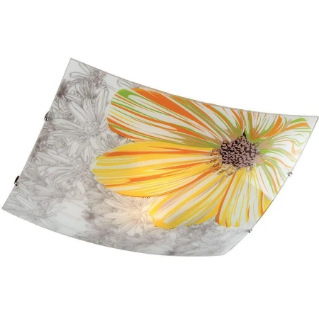 Светильник Sonex 2234 Treza