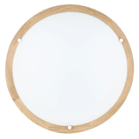 Настенно-потолочный светильник Spot Light 4753074 Frida