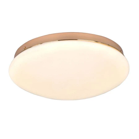Светильник F-Promo 2465-2C Ledante