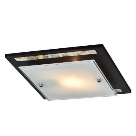 Настенно-потолочный светильник Freya FR4810-CL-01-BR Simmetria