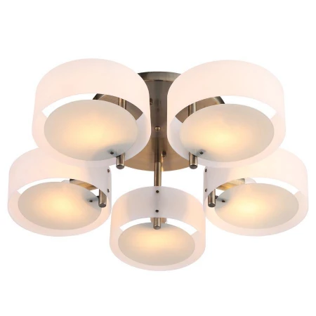 Люстра ST LUCE SL483.352.05 FORESTA