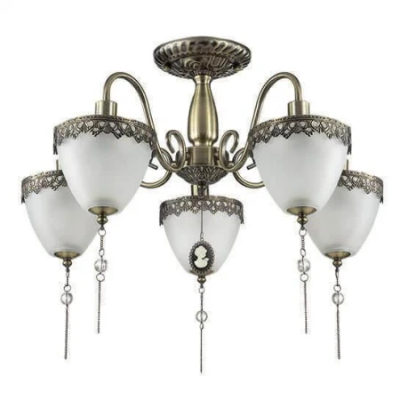 Потолочная люстра Lumion Baptisto 3454/5C