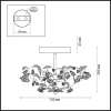 Потолочная люстра Odeon Light Oxonia 2585/5