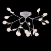Потолочная люстра Freya Florencia FR5049CL-27W