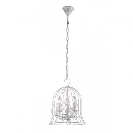 Подвесная люстра Arte Lamp Gabbia A1878SP-3WG