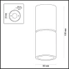 Потолочный светильник Odeon Light Duetta 3583/1C