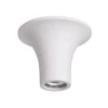 Потолочный светильник Odeon Light Gesso 3552/1C