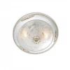 Потолочный светильник Odeon Light Corbea 2670/2C