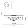 Потолочный светильник Odeon Light Corbea 2670/2C