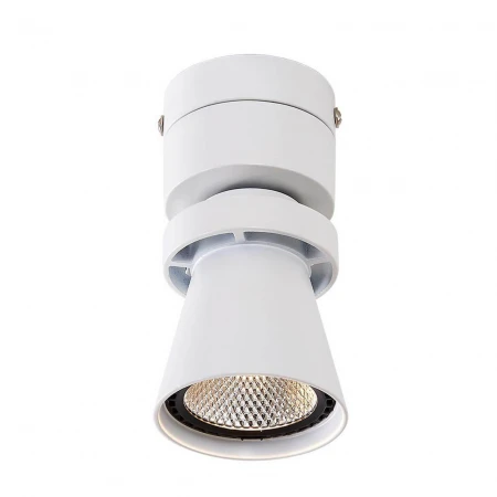 Потолочный светодиодный светильник Citilux Дубль-1 CL556510