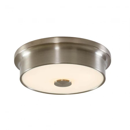 Потолочный светодиодный светильник Citilux Фостер-2 CL706211