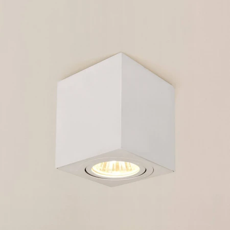 Потолочный светильник Citilux Дюрен CL538211