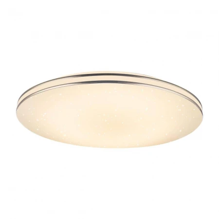 Потолочный светодиодный светильник Globo Pierre 48388-24