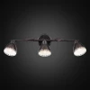 Спот Citilux Робуста CL509532