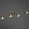 Спот Arte Lamp Focus A5219PL-4AB