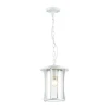 Уличный подвесной светильник Odeon Light Galen 4173/1